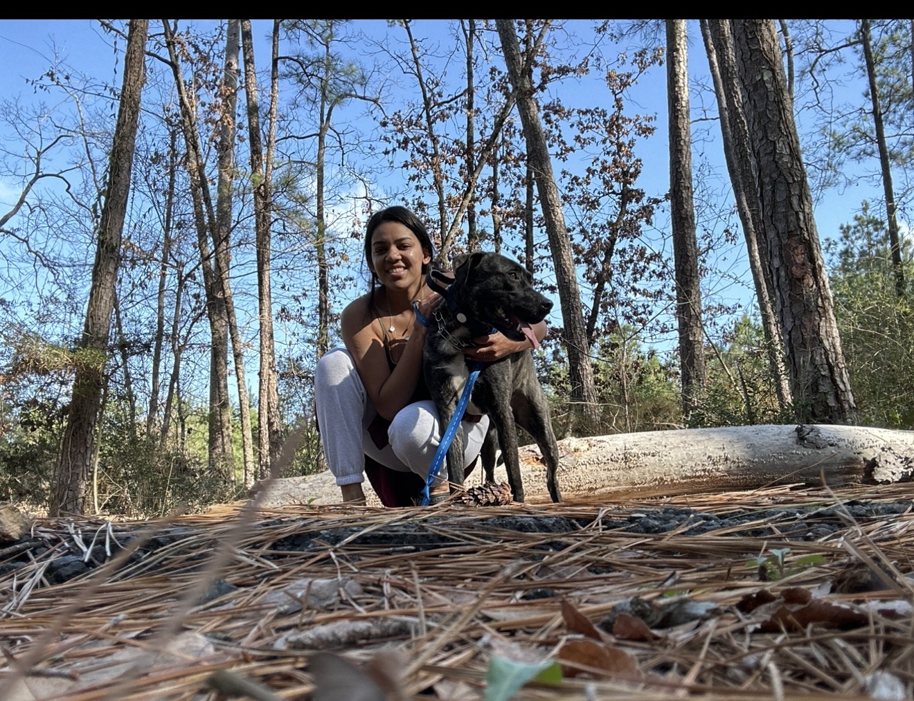 Karolyn kneeling outdoors in the pines beside a happy brindle dog on a leash